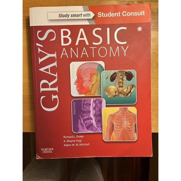 Home Essential & Beyond Red Gold Glass Tumblers Set of 6 Turkish Tea/ Juice 4 oz - Picture 8 of 13